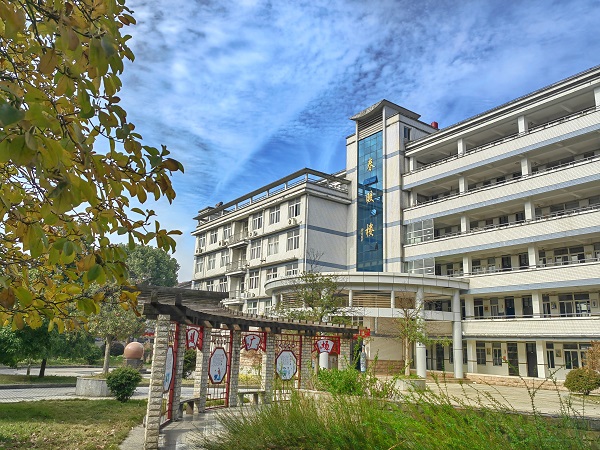 mmexport1719057016411.jpg